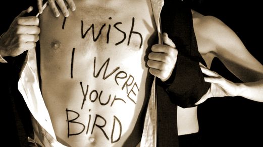 I wish I were your Bird 2006
